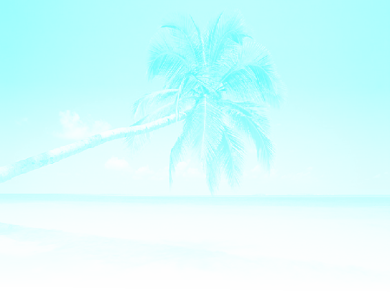 rangiroa hebergement